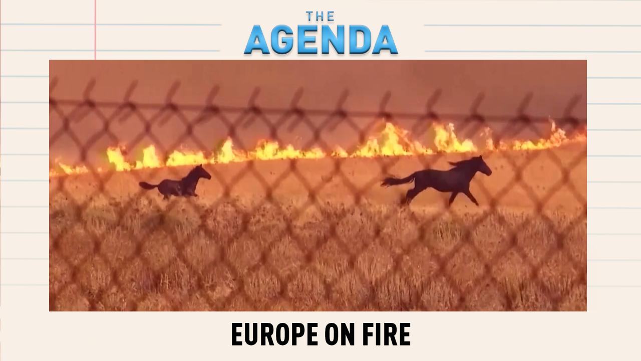 Wildfires sweep Europe: Can governments keep up?