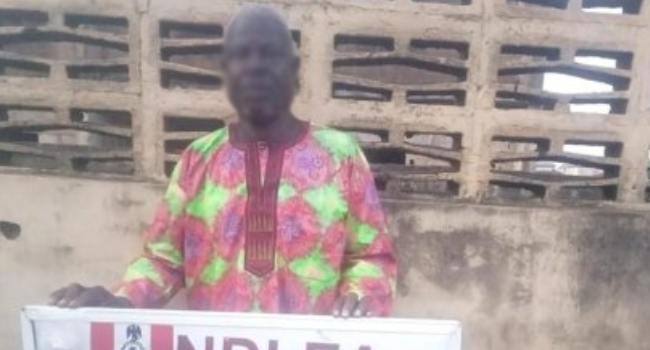 NDLEA Intercepts Cocaine Hidden In Stockfish, Arrests 80-Year-Old With Methamphetamine