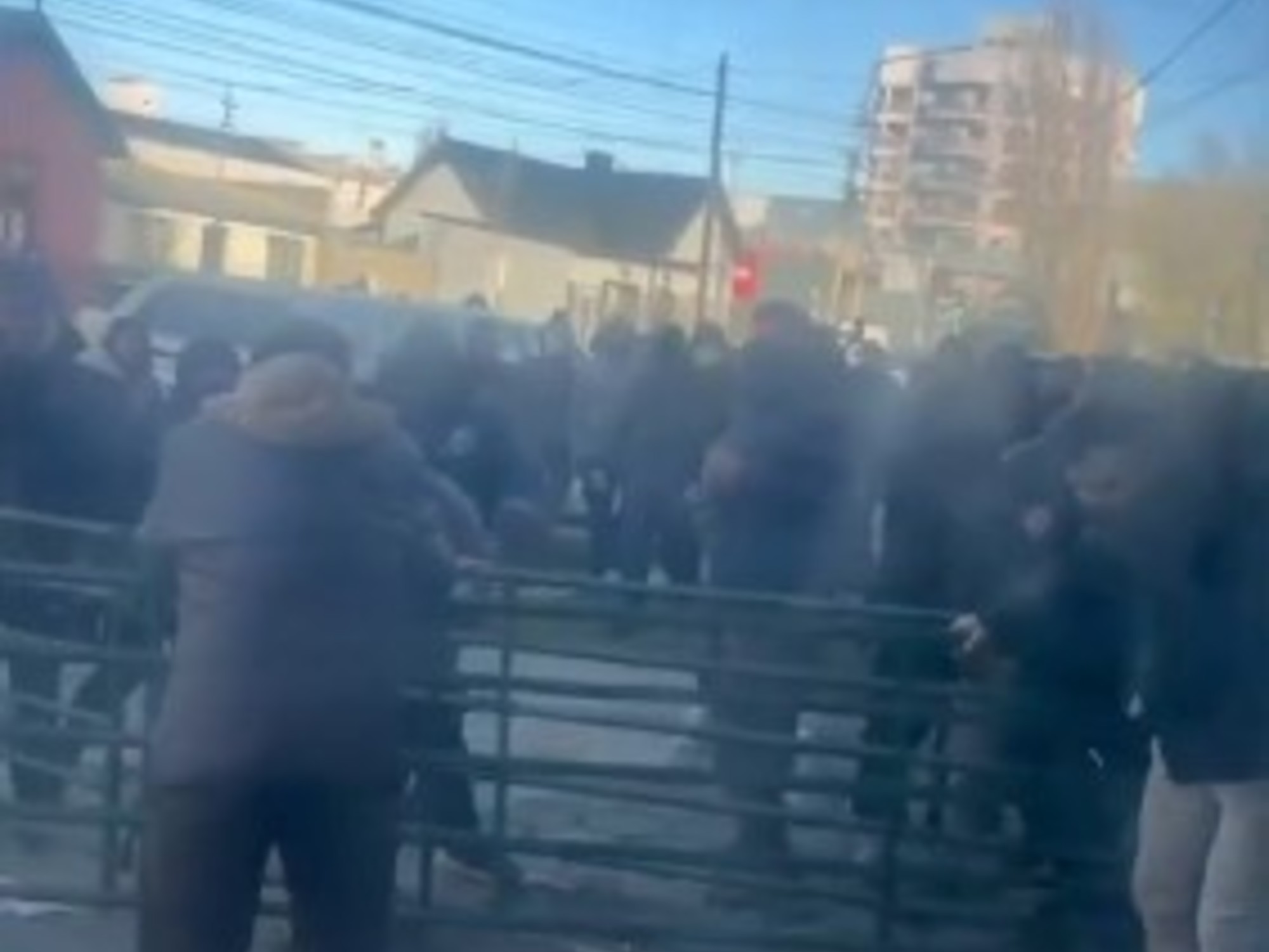 Lilia Lemoine denunció a un intendente kirchnerista por un violento escrache contra dirigentes que iban a un encuentro libertario