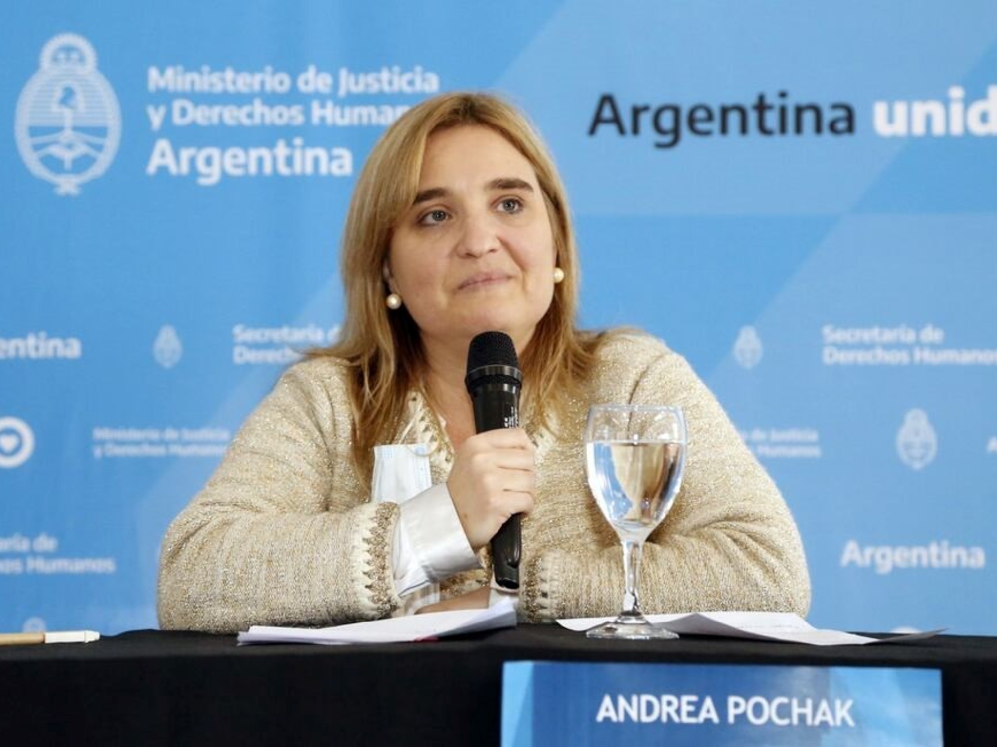 Denuncian a la representante argentina ante CIDH por conflicto de intereses en casos patrocinados por organismos de derechos humanos