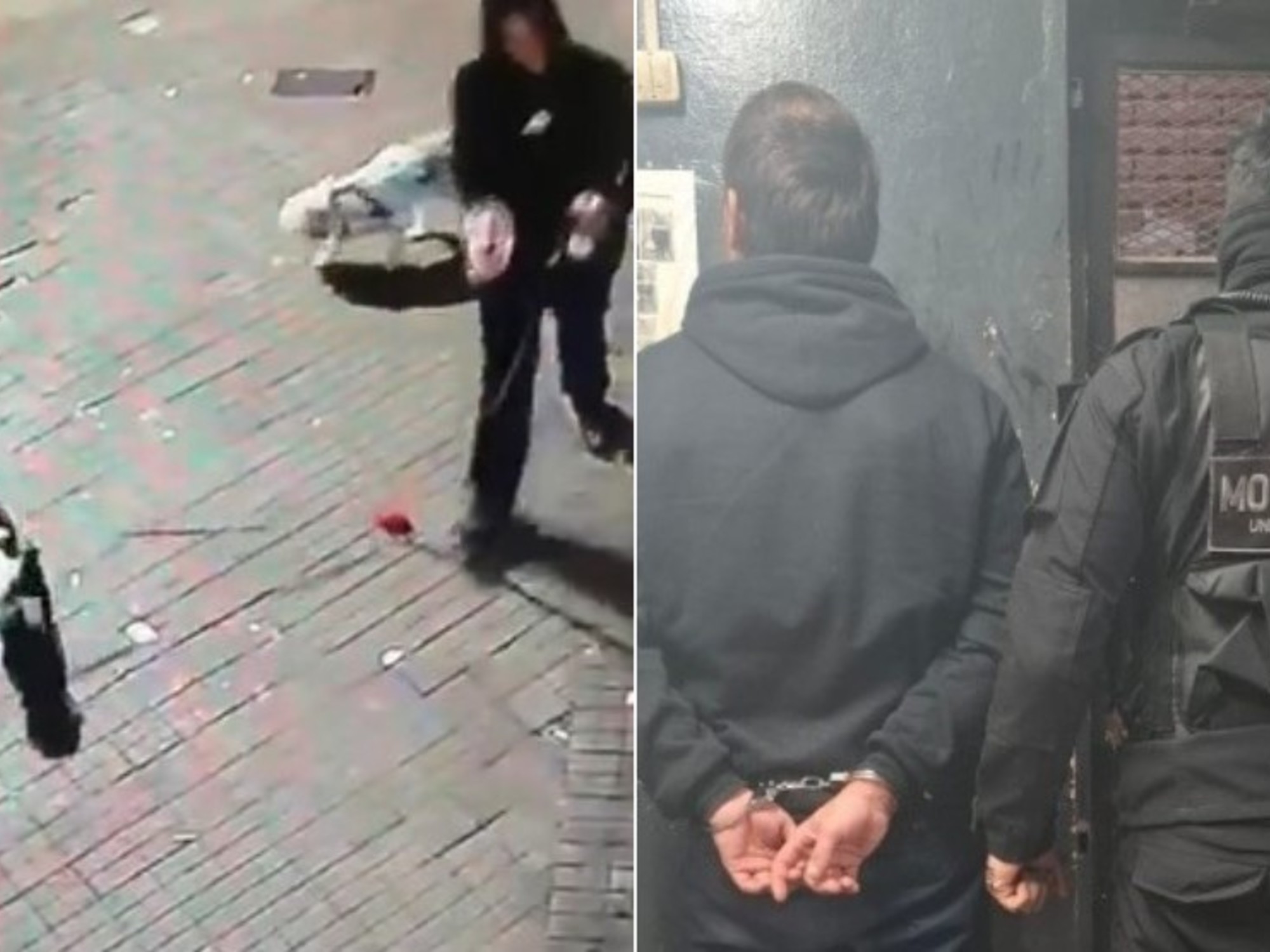 Detuvieron a un hombre que le tiró la caca de sus perros a un local de La Libertad Avanza