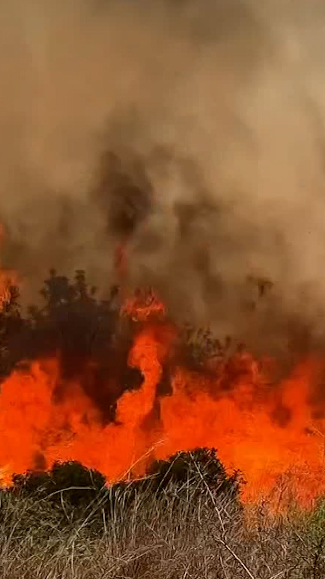 Firefighters race to contain blazes in France and Spain