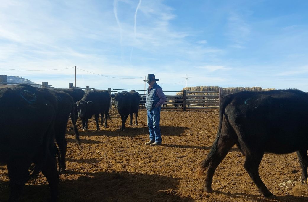 The US-Mexico cattle border is reopening. Not every American rancher is celebrating