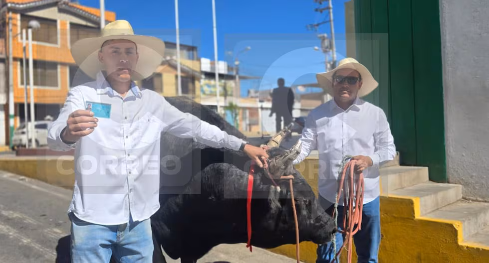 Elecciones presidenciales: agricultor llega a votar acompañado de un toro de pelea en Arequipa (Foto: Omar Cruz/@photo.gec)