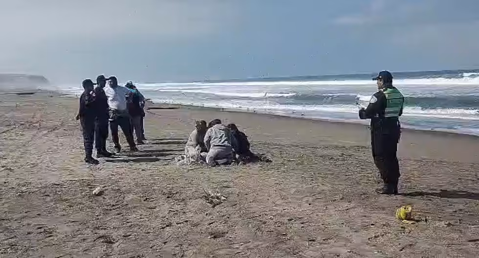 Hallan cadaver de pescador de Talara que estaba desparecido tras naufragio. Foto: Captura Chisme Noticias
