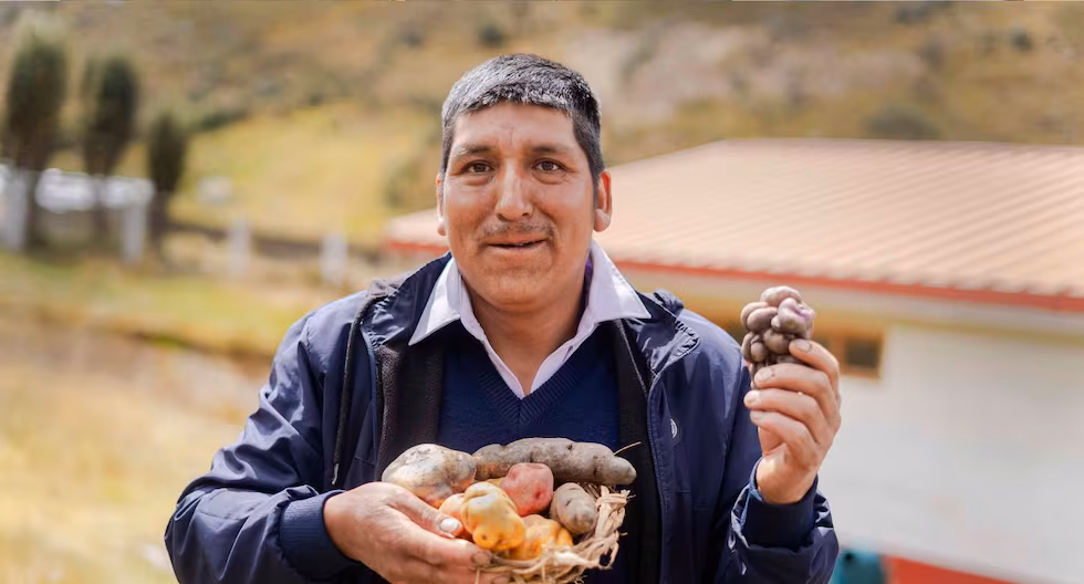 Junín registra 160 mil agricultores, pero cifra real podría superar los 500 mil productores