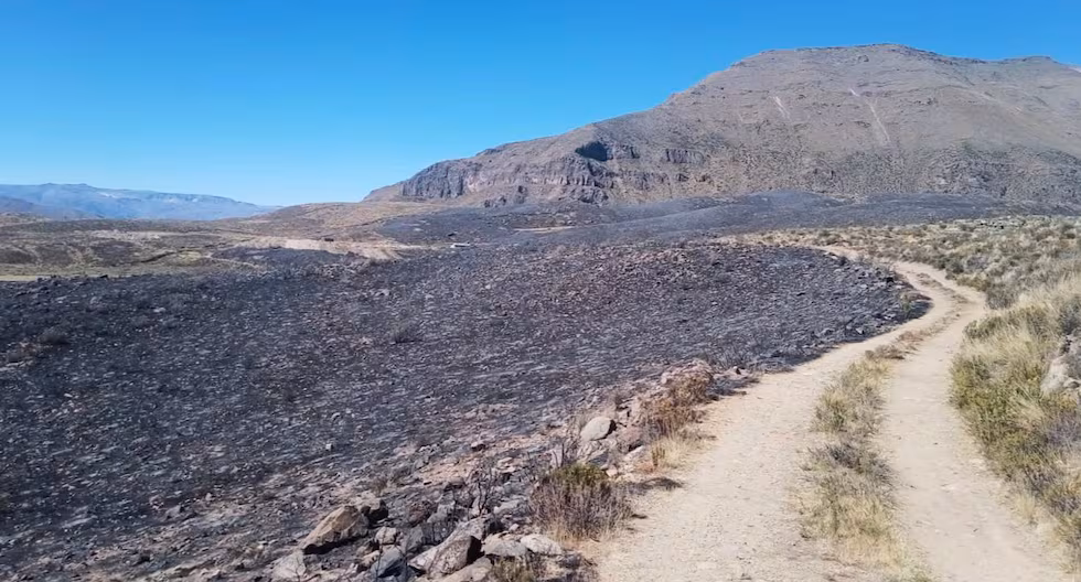 Incendio afecta pastizales y zonas de cultivos en la zona de Pinchollo, en Cabanaconde (Foto: Difusión)