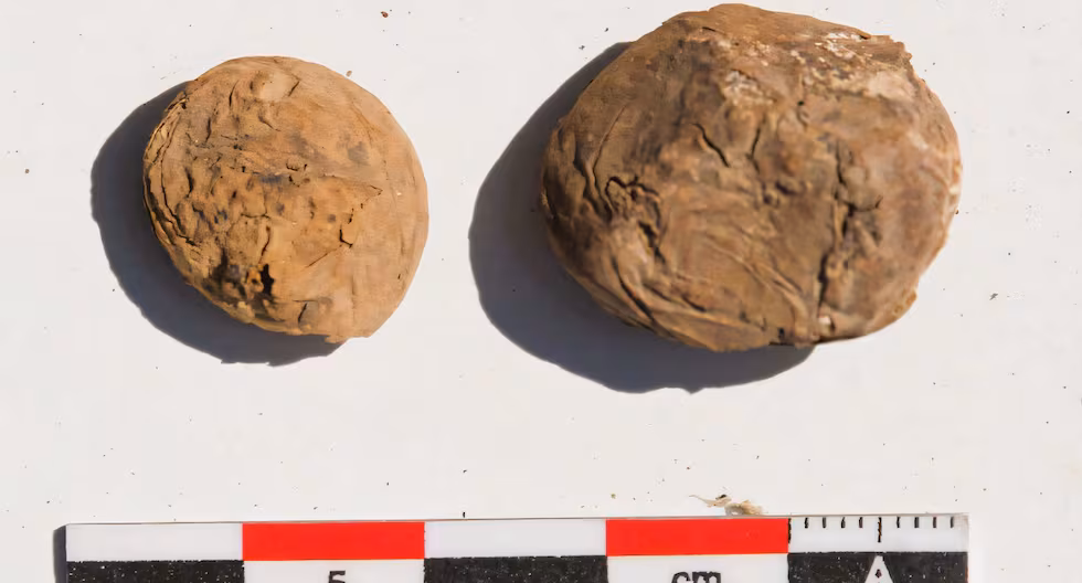 Hallan en Arequipa papas de 500 años que revelan cómo los incas elaboraban el chuño