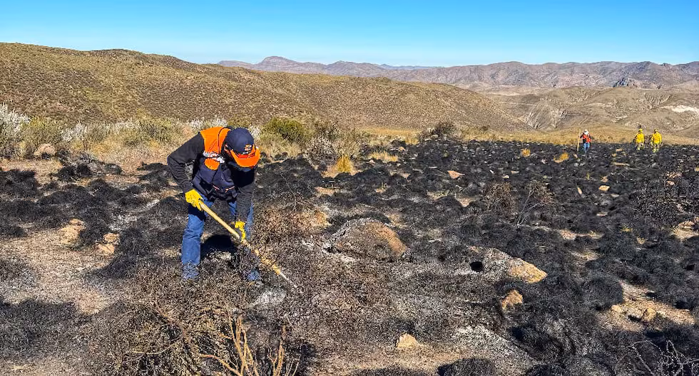 Liquidan incendio forestal que afectó la Reserva Nacional de Salinas y Aguada Blanca por 4 días (Foto: COER)