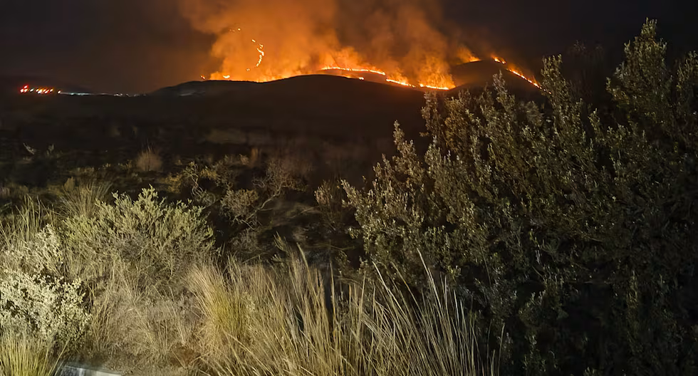 Arequipa registra ocho incendios forestales en lo que va del 2026