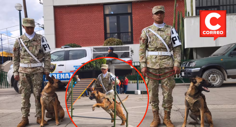 Junín: Entrenan primera brigada canina especializada en rescate y búsqueda de víctimas durante desastres (FOTOS)