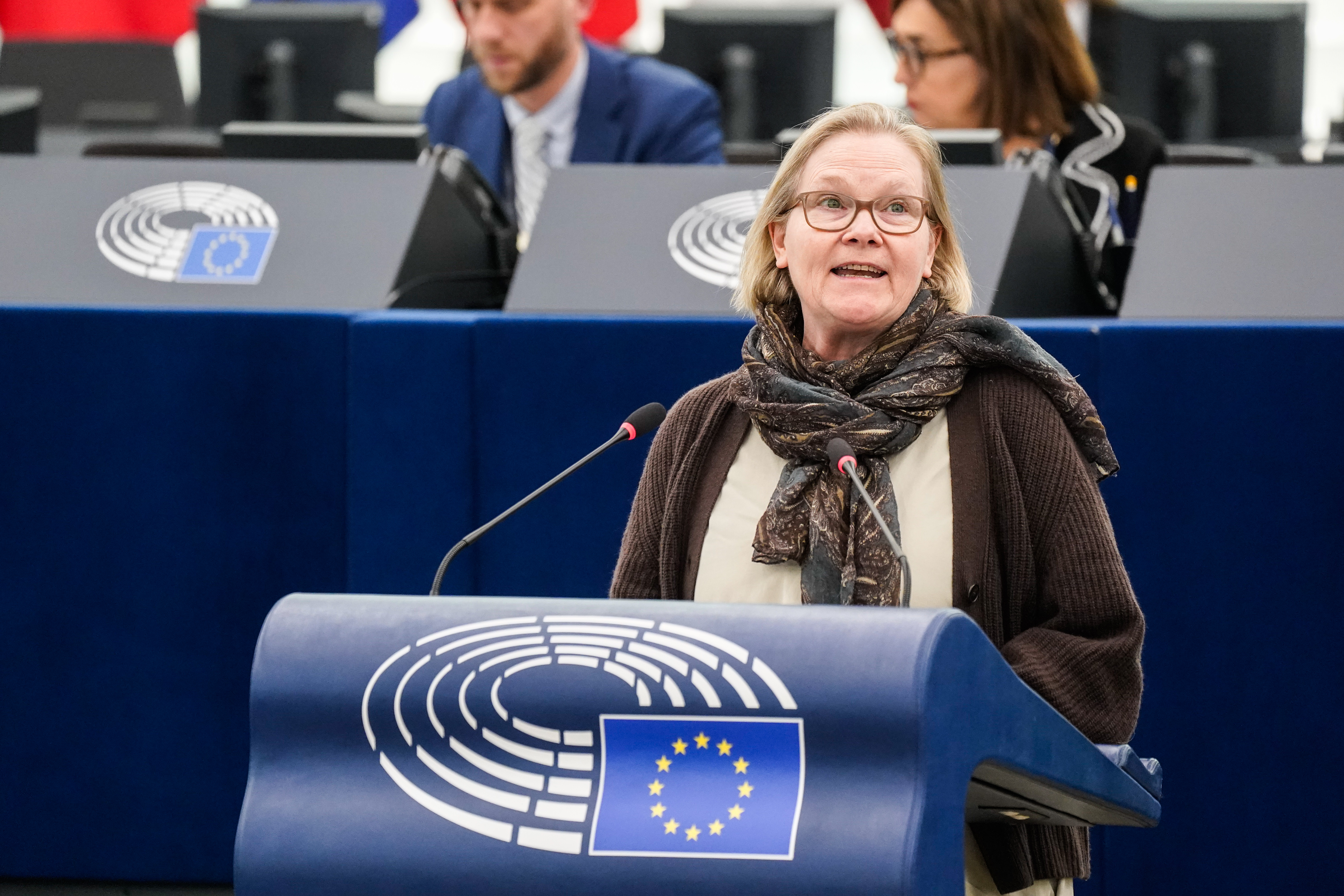 Resolution on 1974 Cyprus sexual violence ‘incomprehensible’, German MEP says