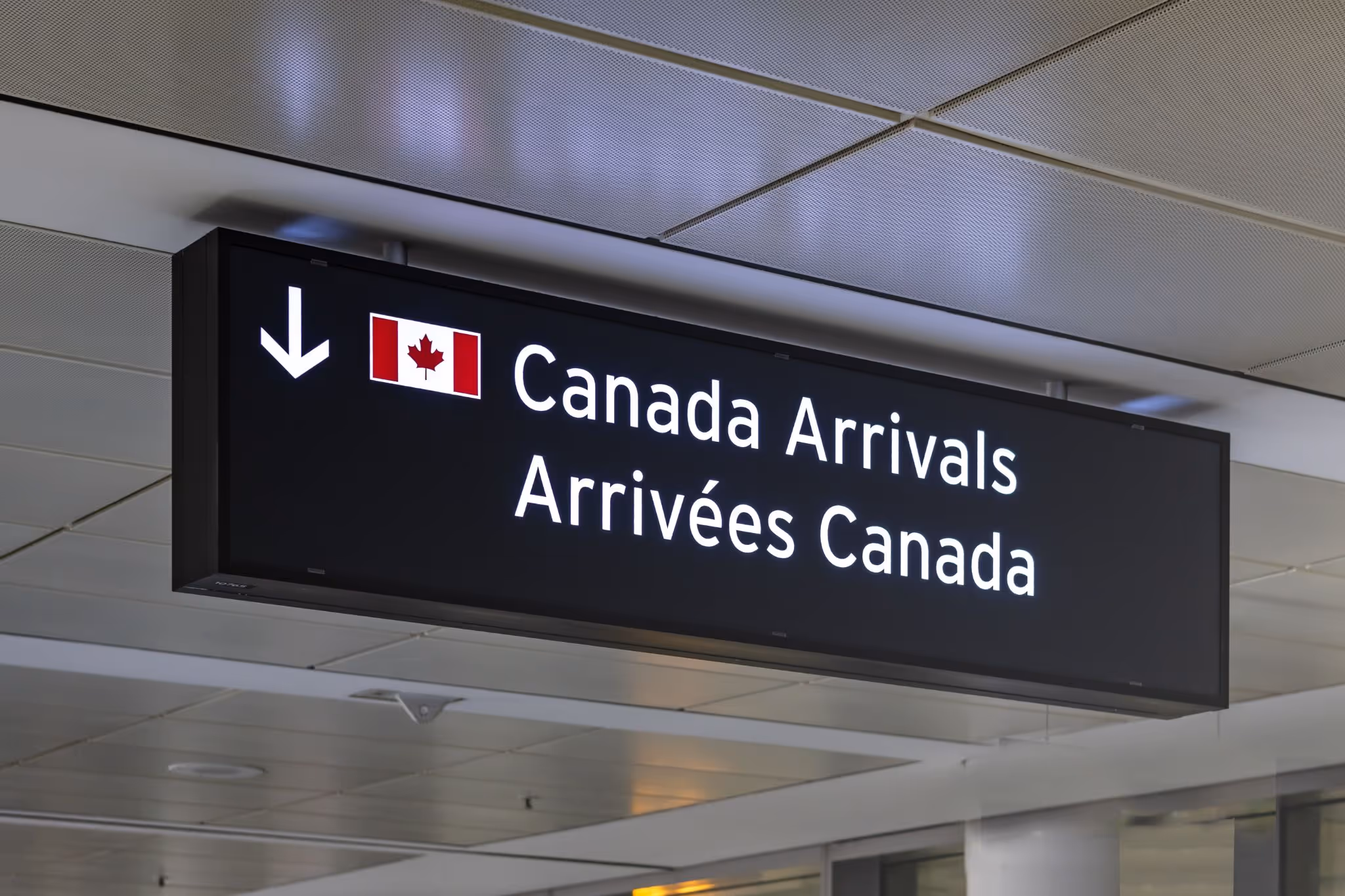 Major changes could be coming to Canada's immigration programs
