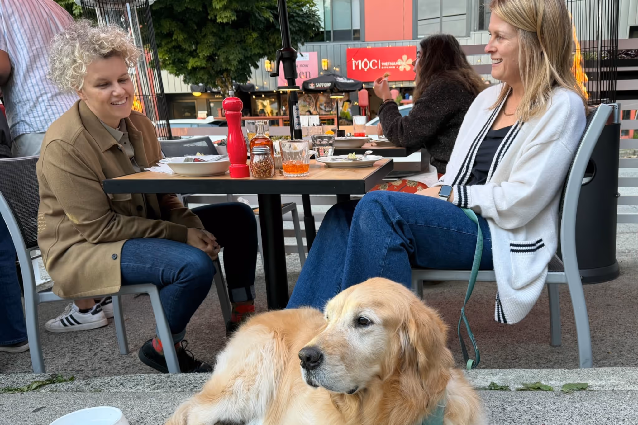 Vancouver city councillor adopts 10-year-old dog known for chasing SkyTrain