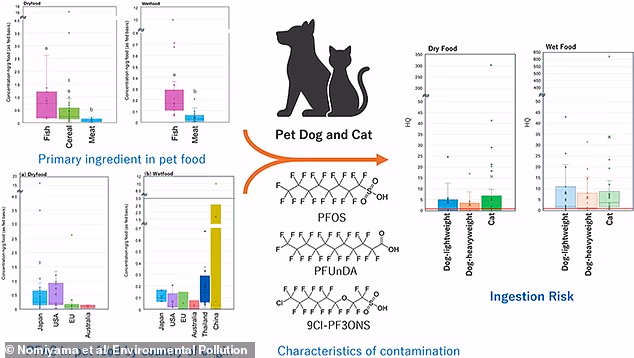 Urgent warning to pet owners as scientists discover TOXIC cancer-causing chemicals in popular wet foods