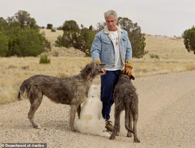 Epstein's Zorro Ranch caretakers privy to financier's secrets