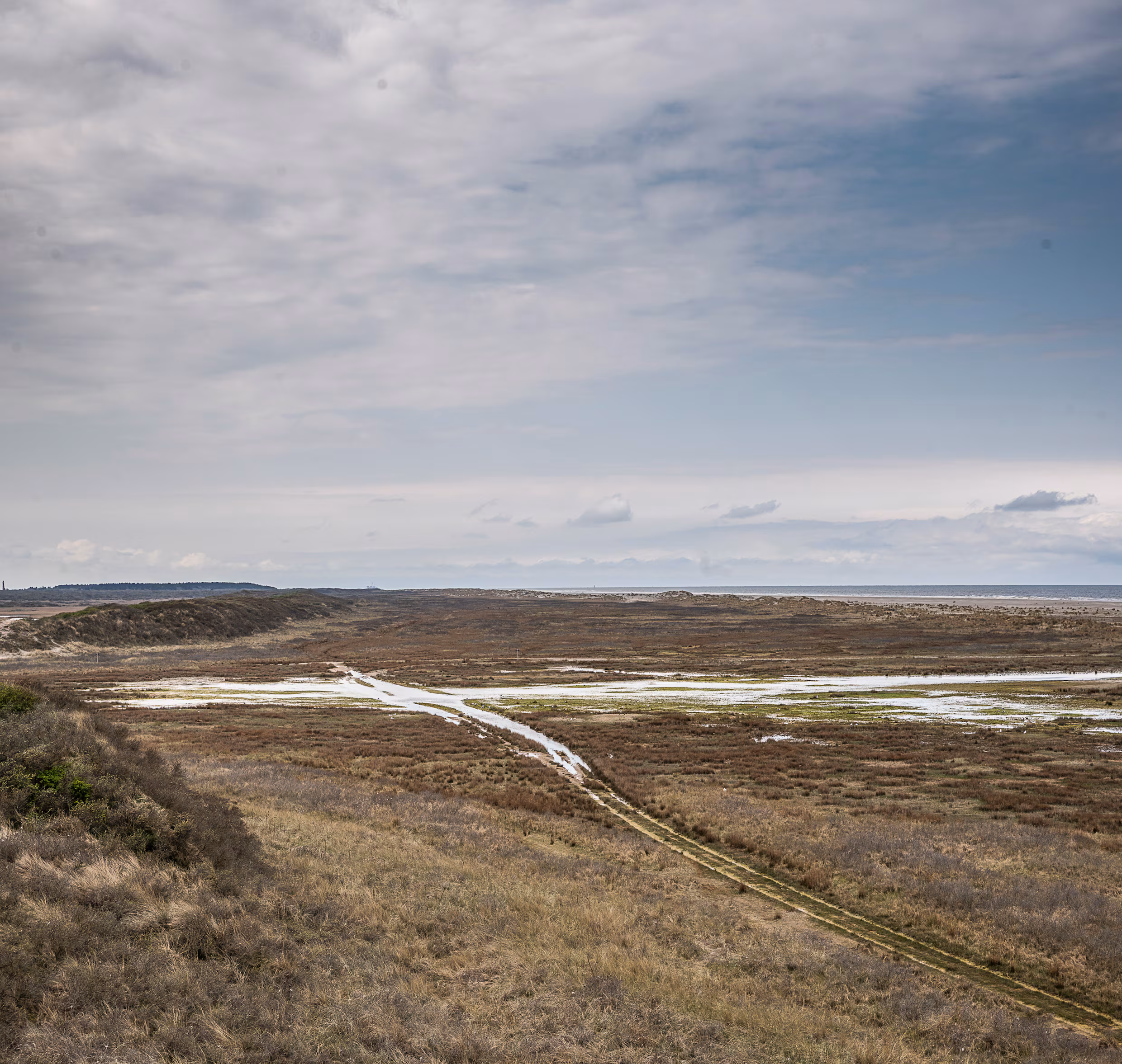 Gaat de Waddennatuur op slot? Rijkswaterstaat wil publiek weren ‘voor ecologisch herstel’