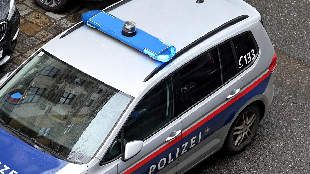 Kärntner attackiert Ehefrau und Polizisten