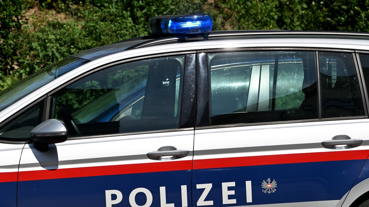 20-Jähriger sticht auf Gleichaltrigen in Wien ein