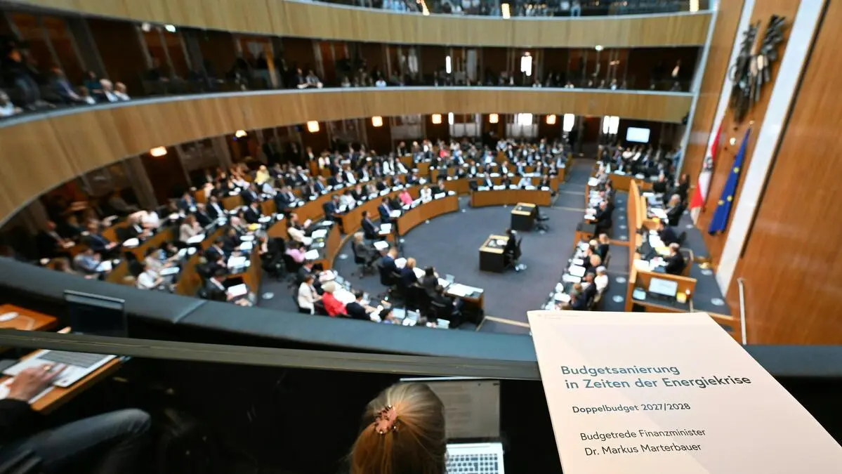 Die FPÖ-Rüpel im Nationalrat