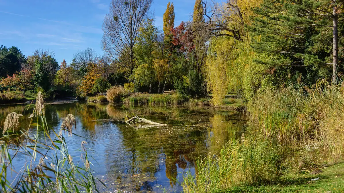 14-Jährigem in Rücken gestochen: Prozess um brutale Attacke im Wiener Wasserpark