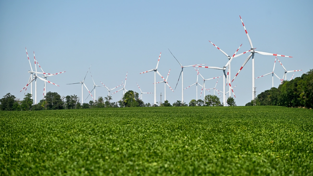 Meteoritenfund im Burgenland? Experten untersuchen Gestein aus Familiengarten