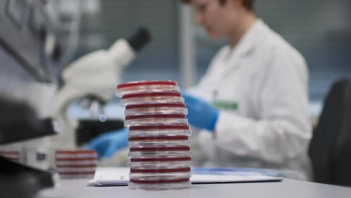 Dieser Pharmakonzern baut massiv Stellen in Österreich ab und nimmt neues Labor in Wien nicht in Betrieb