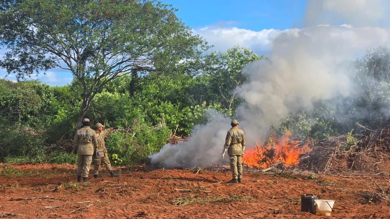 Police say destruction of marijuana plantation has been completed and that André Fernandes found remains