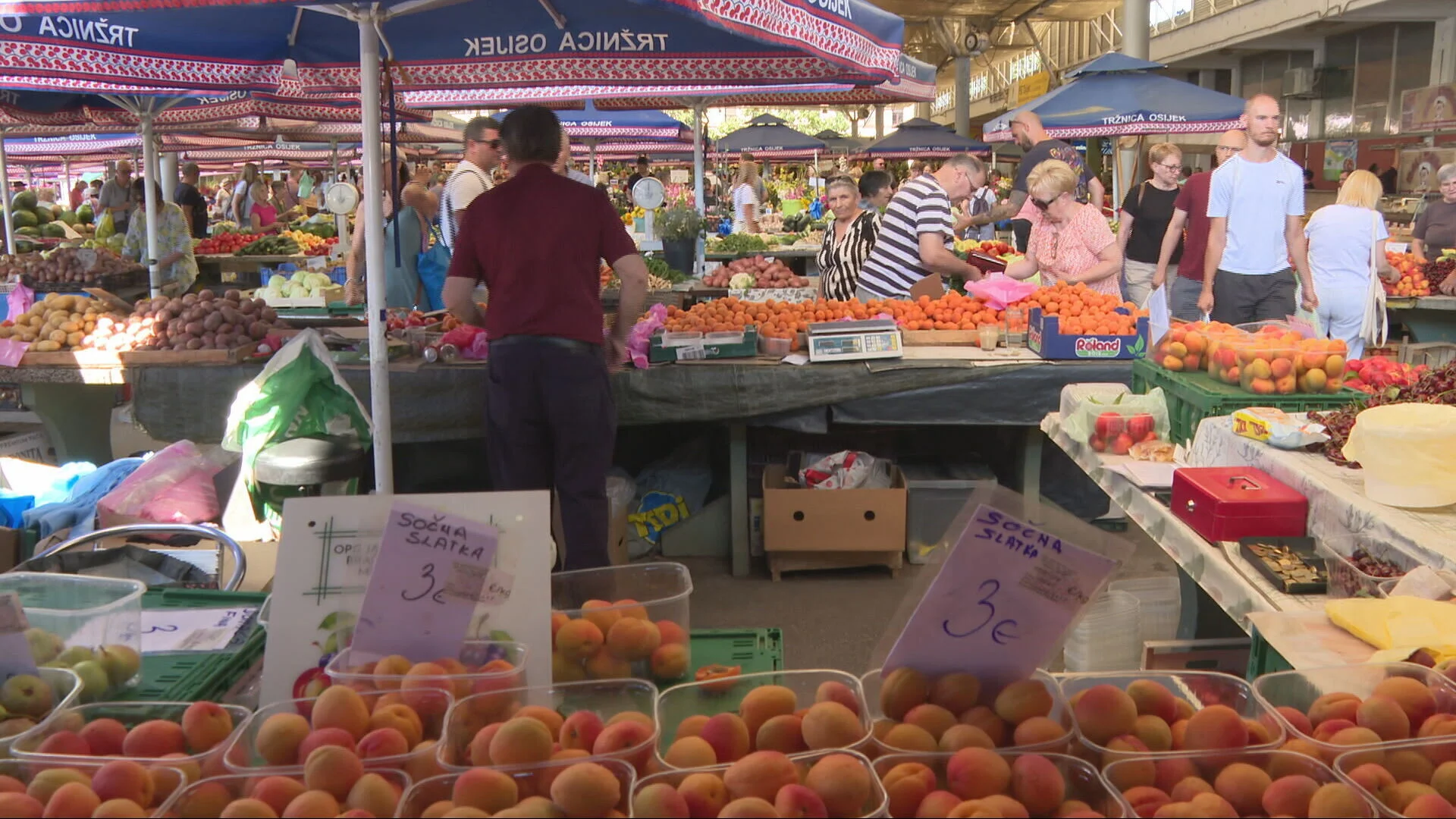 Market prices are falling, and producers say: "Unfortunately, this year we decided to cut it all back"...