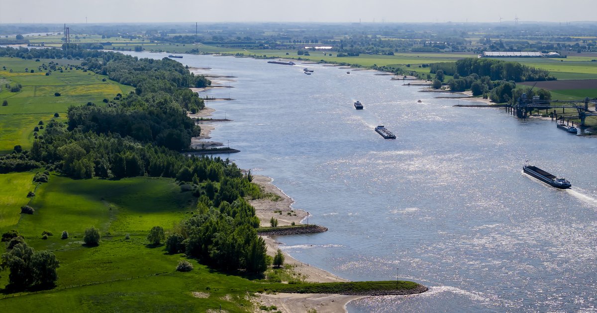 Biodiversiteit in onze rivieren en sloten gaat achteruit: 'Alarmbel die laat zien dat we wat moeten doen'