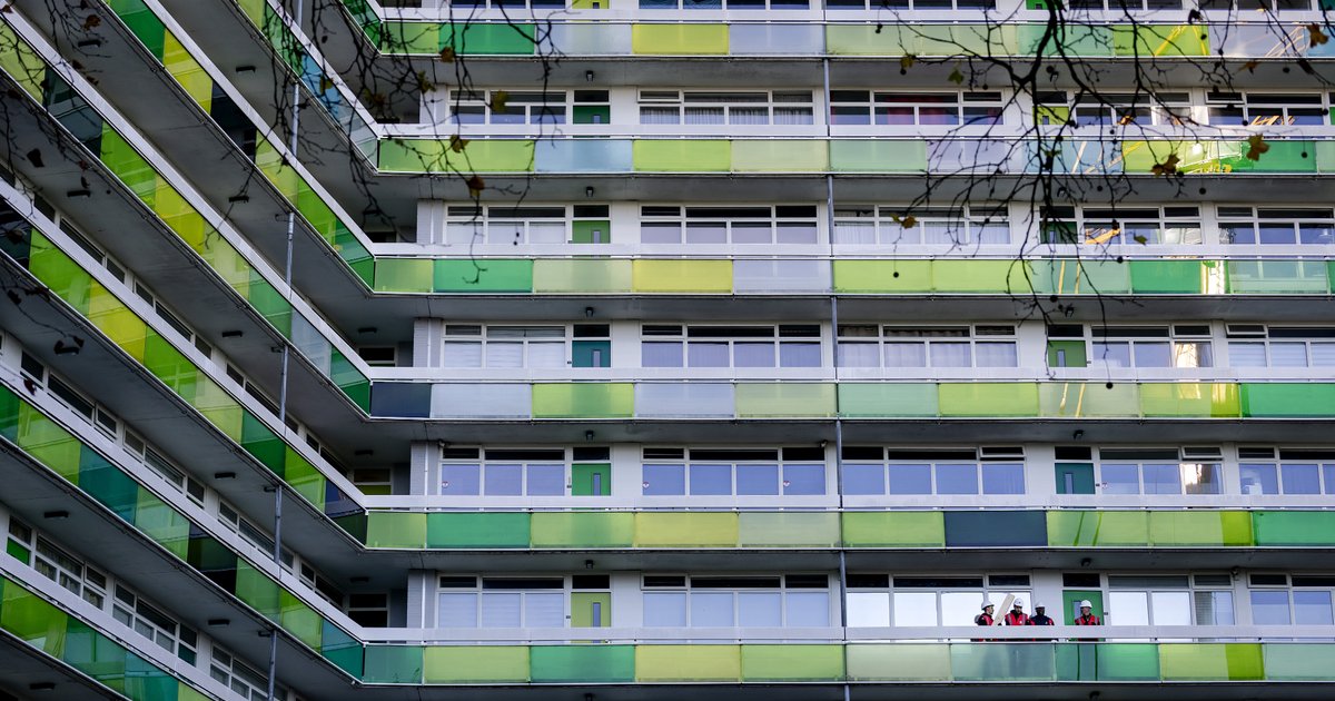 Steen en beton leiden tot bloedhete wijken: zo kunnen dichtbebouwde wijken leefbaarder worden gemaakt