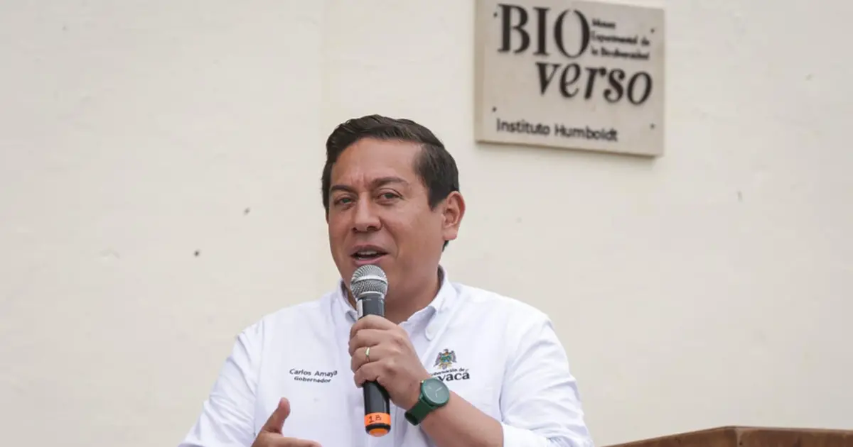 Abren investigación al gobernador de Boyacá, Carlos Amaya, por posible participación en política