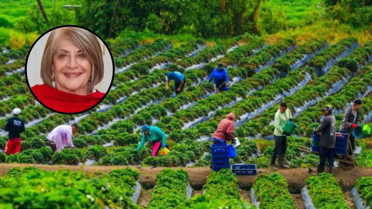 Todo no está acabado. Luego de que se posesione el nuevo Congreso, se buscará de nuevo aprobar el proyecto de ley. Para este texto, EL COLOMBIANO consultó a la exministra de