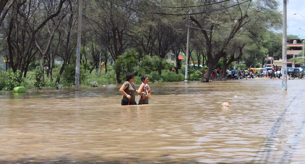 Adiós a las largas esperas: Sunedu reduce plazos del Registro de Grados y Títulos, mira AQUÍ todo lo que debes saber | Foto: Andina