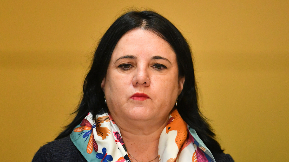 "Sigue con desprolijidades": ex subsecretario cuestionó tuit del Ministerio de Seguridad tras operativo en Temucuicui