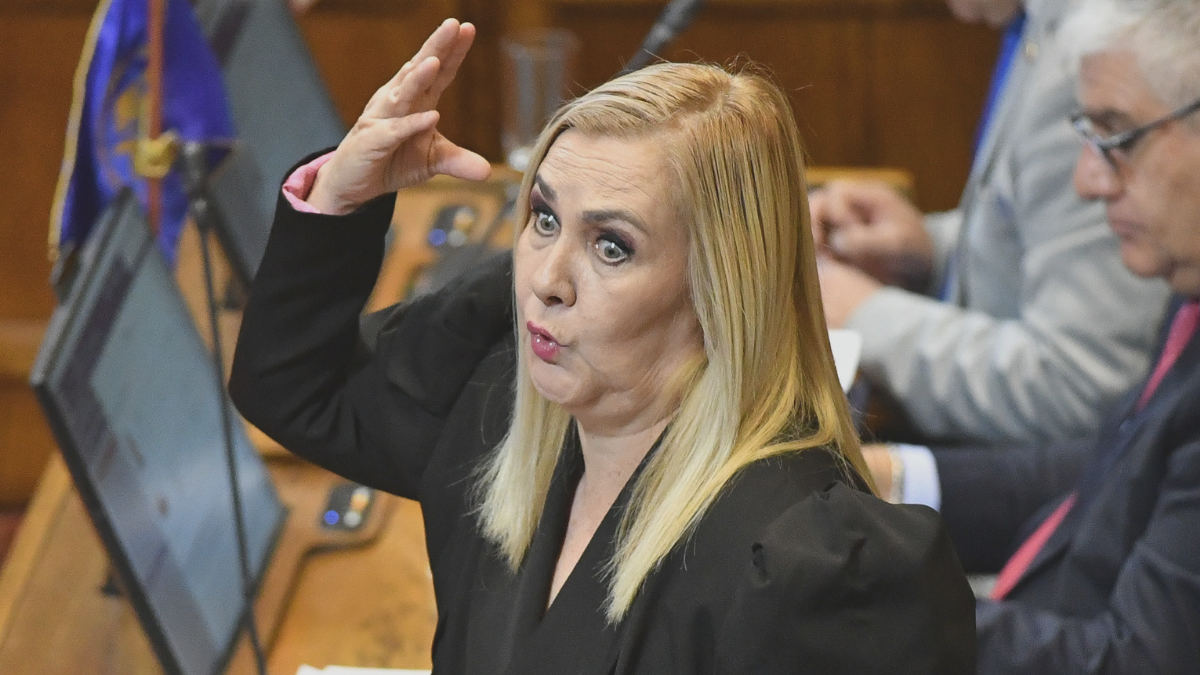 Pamela Jiles se enfrenta a diputado Bassa por apoyo a AC contra Grau: "Sin el PDG no existen"