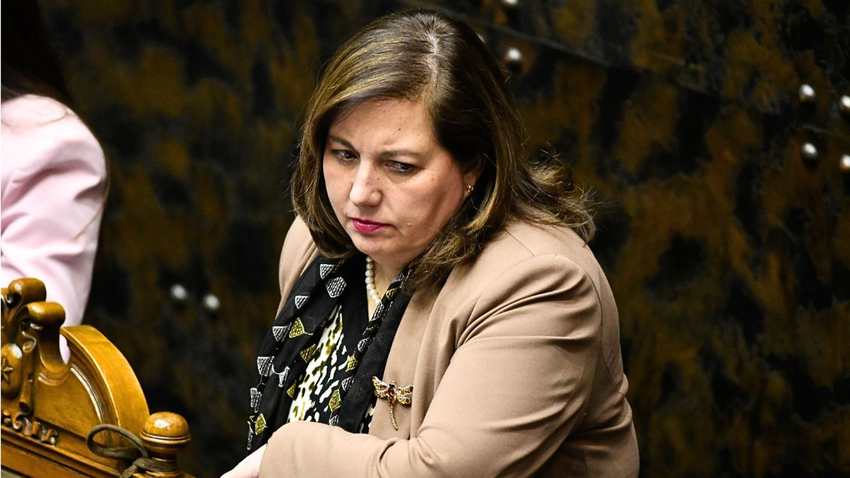"No sé cuánta fuerza puede tener": las dudas de Vodanovic sobre la mesa de diálogo por megarreforma