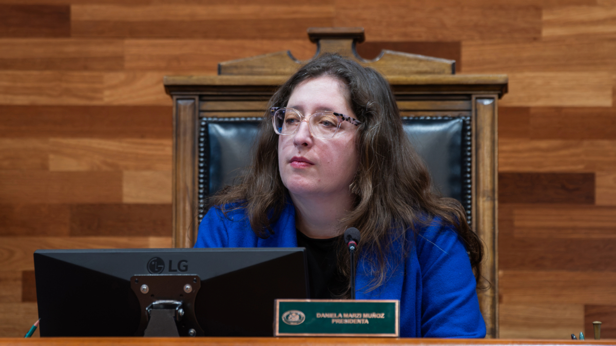 Acusan pago de "favores políticos" y "sesgo ideológico": crece malestar en la derecha contra el TC por fallo sobre Escuelas Protegidas