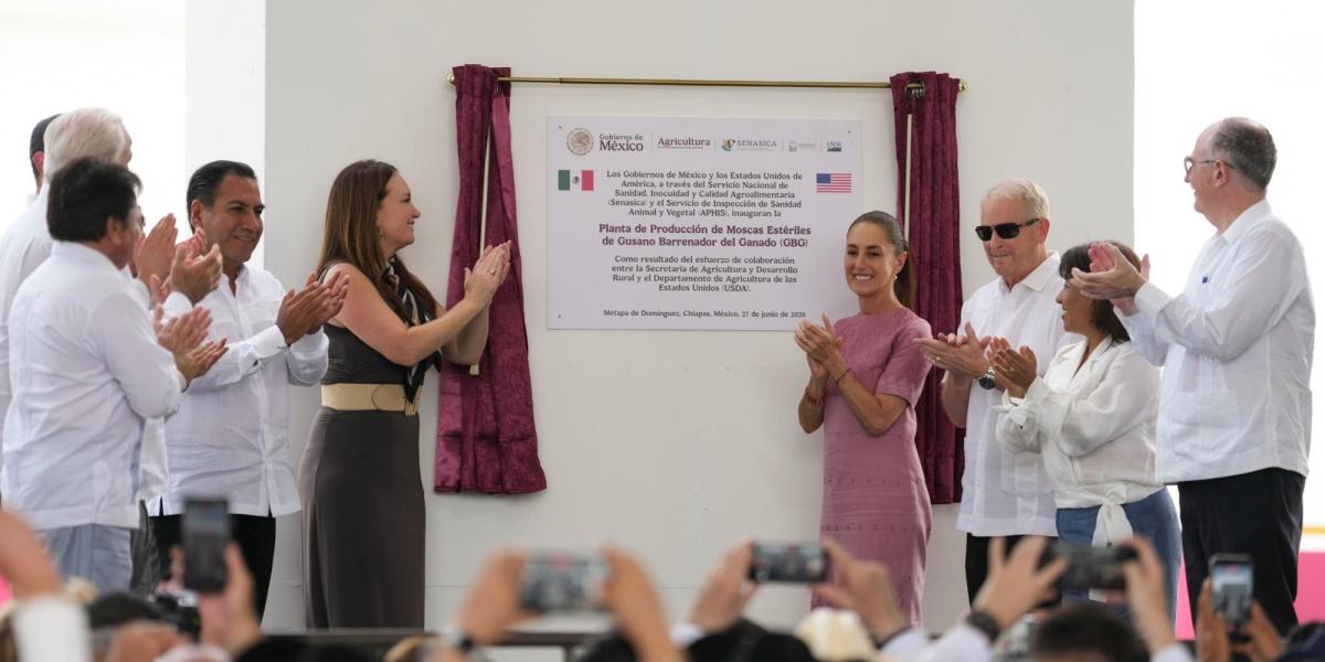Presidenta Sheinbaum inaugura planta productora de moscas estériles del gusano barrenador del ganado en Chiapas