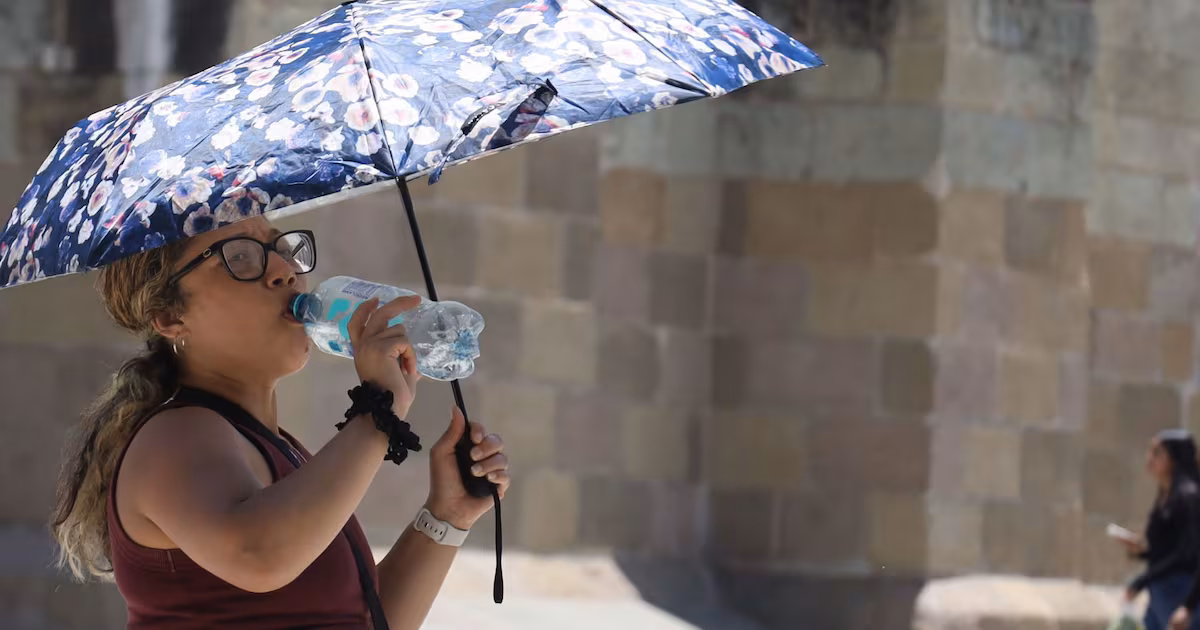 Segunda ola de calor ‘rostizará’ México: ¿Qué estados tendrán más de 45 grados centígrados?
