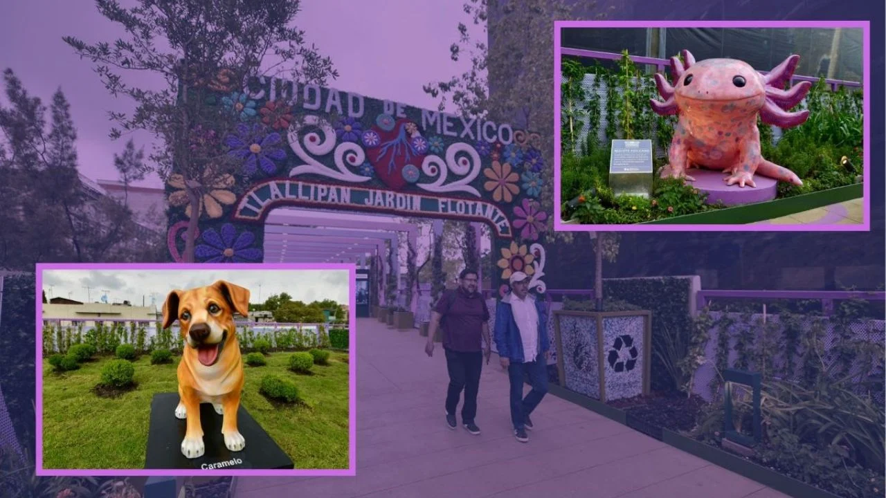 En FOTOS: así luce la Calzada Flotante de Tlalpan 'Tlallipan Jardín Flotante', inaugurada por Clara Brugada
