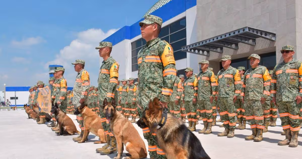 Max, el perro rescatista mexicano, resultó herido tras ayudar a salvar a siete personas y tres perros entre los escombros en Venezuela