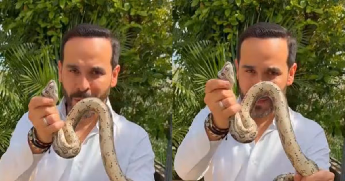 Abelardo de la Espriella publica mensaje tras encontrar una serpiente en su casa