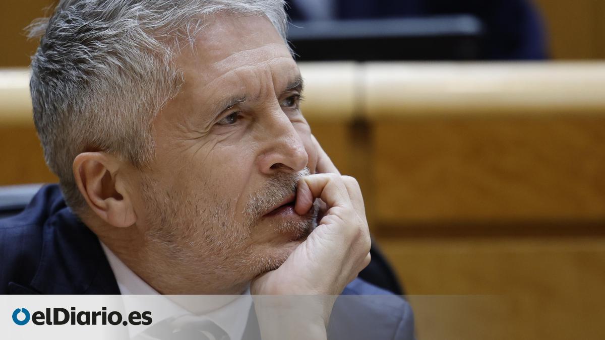 El PP cita a Marlaska y la fiscal general en el Senado por el 'caso Leire Díez'