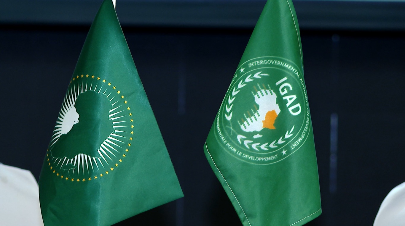 Heads of AU and IGAD Election Missions Laud Ethiopia's Democratic, Electoral Evolution
