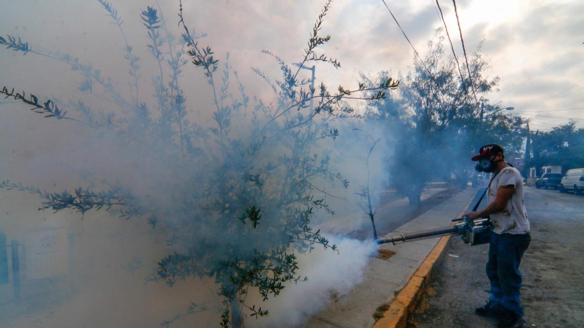 Aumentan a 2 mil 703 los casos de dengue en México