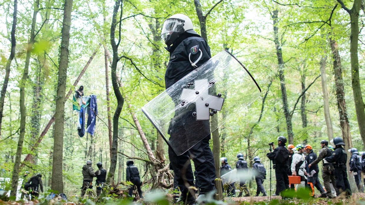 Hambacher Forst: Der „Hambi“ soll jetzt Urwald werden
