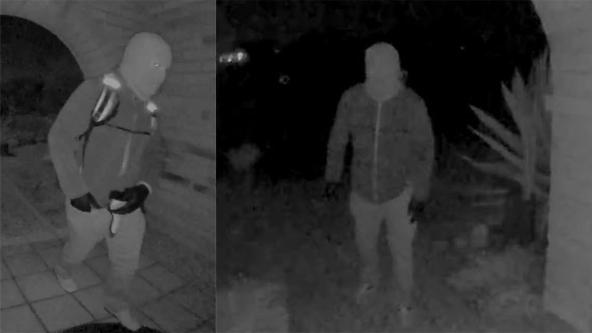 Nancy Guthrie's neighbors flag camera glitching as experts explain Wi-Fi jamming