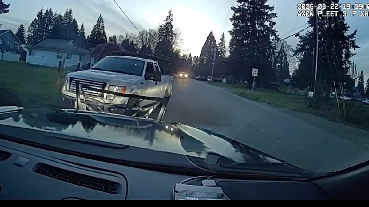 Repeat offender nears 100th arrest after theft spree, drugs and wild high-speed chase: police