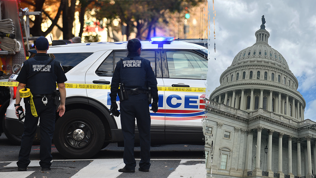 Two arrested after US Park Police officer shot in apparent DC ambush: report